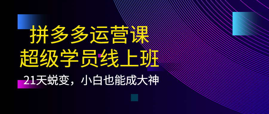 拼多多运营课：超级学员线上班，21天蜕变，小白也能成大神-鬼谷创业网