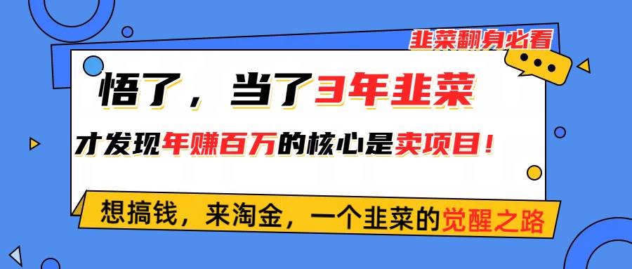 悟了，当了3年韭菜，才发现网赚圈年赚100万的核心是卖项目，含泪分享！-鬼谷创业网