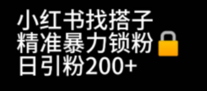 小红书找搭子暴力精准锁粉+引流日引200+精准粉-鬼谷创业网