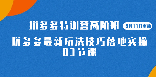 2023拼多多·特训营高阶班【9月13日更新】拼多多最新玩法技巧落地实操-83节-鬼谷创业网