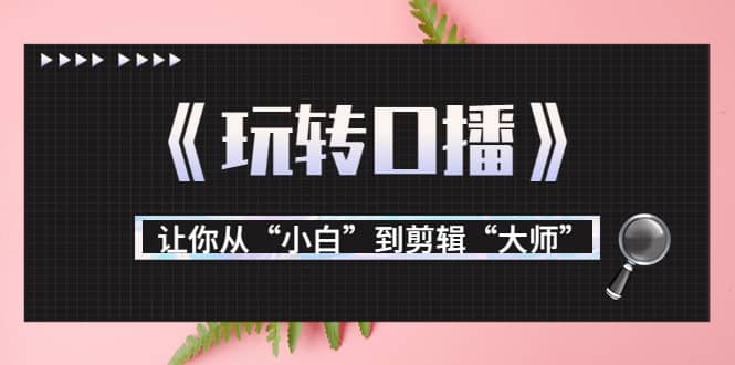 月营业额700万+大佬教您《玩转口播》让你从“小白”到剪辑“大师”-鬼谷创业网