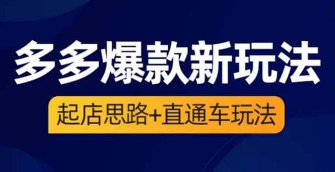 2023拼多多爆款·新玩法：起店思路+直通车玩法（3节精华课）-鬼谷创业网