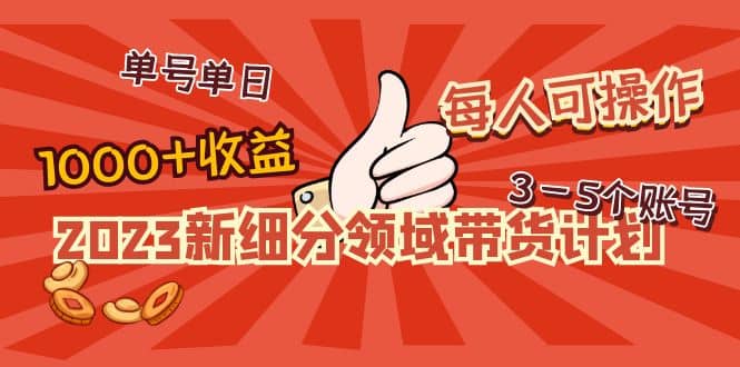 2023新细分领域带货计划：单号单日1000+收益不难，每人可操作3-5个账号-鬼谷创业网