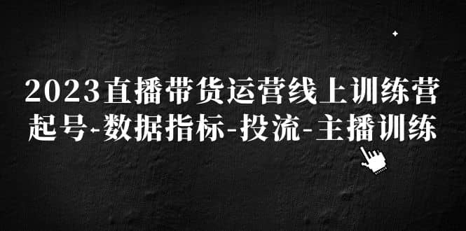 2023直播带货运营线上训练营，起号-数据指标-投流-主播训练-鬼谷创业网