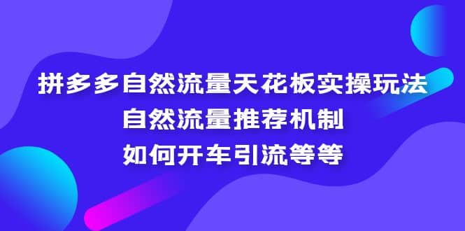 拼多多自然流量天花板实操玩法：自然流量推荐机制，如何开车引流等等-鬼谷创业网