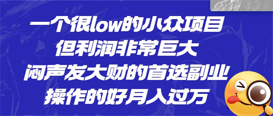 一个很low的小众项目，但利润非常巨大，闷声发大财的首选副业，月入过万-鬼谷创业网