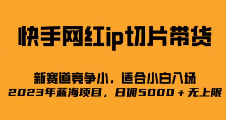 快手网红ip切片新赛道，竞争小事，适合小白 2023蓝海项目-鬼谷创业网