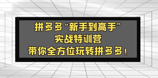 拼多多“新手到高手”实战特训营：带你全方位玩转拼多多-鬼谷创业网