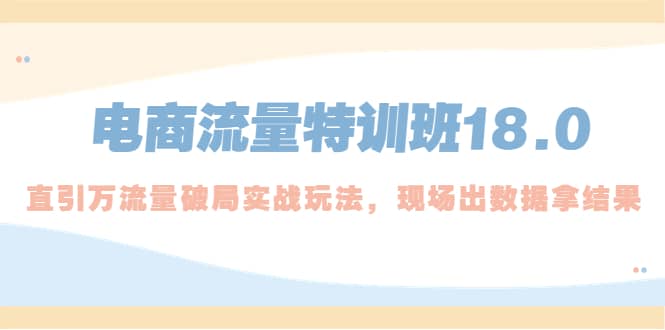 电商流量特训班18.0，直引万流量破局实操玩法，现场出数据拿结果-鬼谷创业网