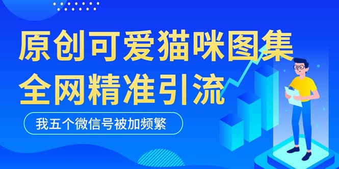 黑科技纯原创可爱猫咪图片，全网精准引流，实操5个VX号被加频繁-鬼谷创业网