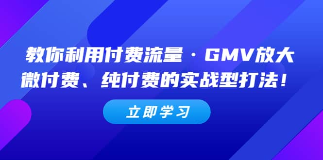 教你利用付费流量·GMV放大，微付费、纯付费的实战型打法-鬼谷创业网