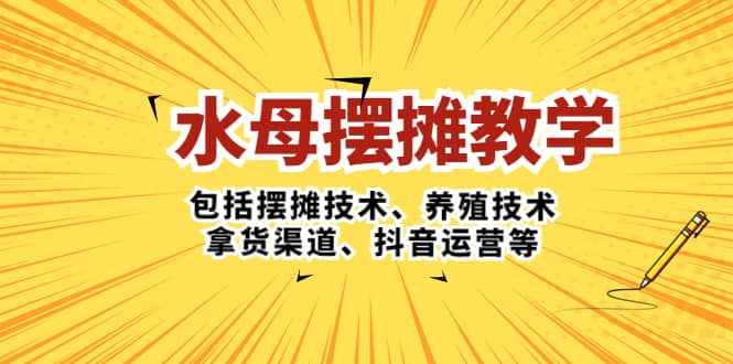 水母·摆摊教学，包括摆摊技术、养殖技术、拿货渠道、抖音运营等-鬼谷创业网