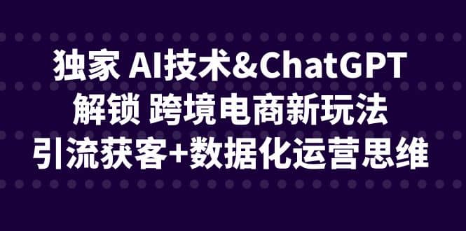 独家 AI技术ChatGPT解锁 跨境电商新玩法，引流获客+数据化运营思维-鬼谷创业网