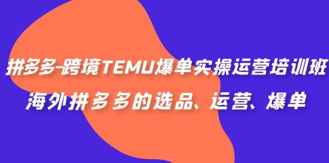 拼多多-跨境TEMU爆单实操运营培训班，海外拼多多的选品、运营、爆单-鬼谷创业网