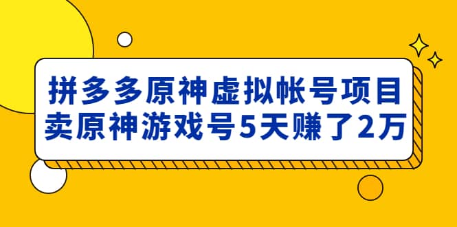 外面卖2980的拼多多原神虚拟帐号项目-鬼谷创业网