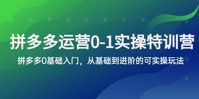 拼多多-运营0-1实操训练营，拼多多0基础入门，从基础到进阶的可实操玩法-鬼谷创业网