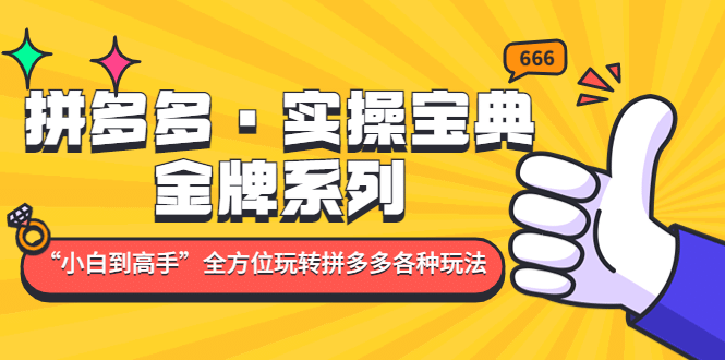 拼多多·实操宝典：金牌系列“小白到高手”带你全方位玩转拼多多各种玩法-鬼谷创业网