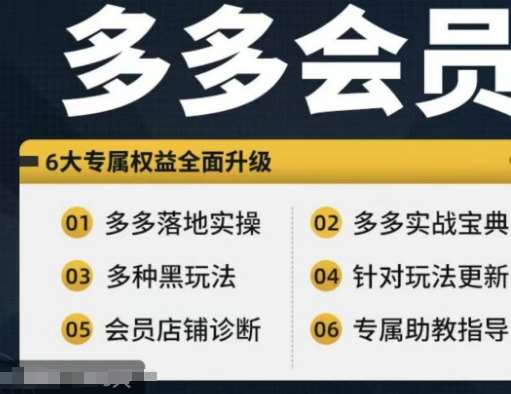 拼多多会员，拼多多实战宝典+实战落地实操，从新手到高阶内容全面覆盖-鬼谷创业网