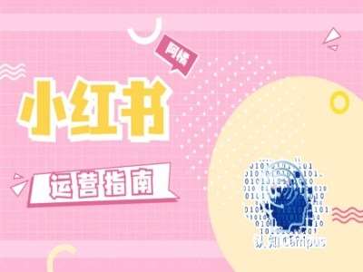 小红书运营指南，没有套路，全是经验-鬼谷创业网