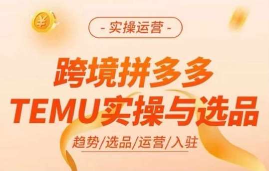 跨境拼多多TEMU实操与选品，多多temu跨境选品运营实操-鬼谷创业网