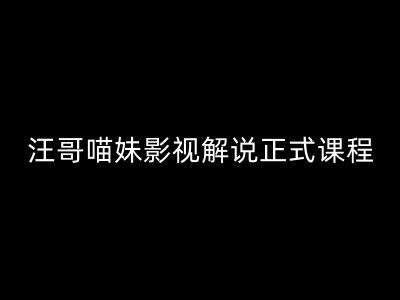 汪哥影视解说正式课程：剪映/PR教学/视解说剪辑5大黄金法则/全流程剪辑7把利器等等-鬼谷创业网