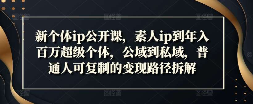 新个体ip公开课，素人ip到年入百万超级个体，公域到私域，普通人可复制的变现路径拆解-鬼谷创业网