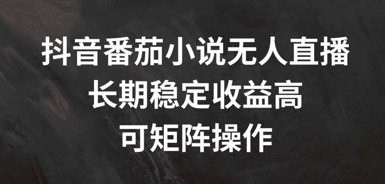 抖音番茄小说无人直播，长期稳定收益高，可矩阵操作【揭秘】-鬼谷创业网