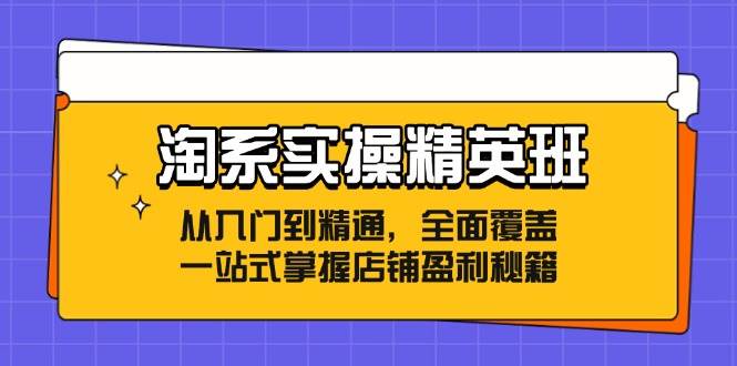 （12276期）淘系实操精英班：从入门到精通，全面覆盖，一站式掌握店铺盈利秘籍-鬼谷创业网