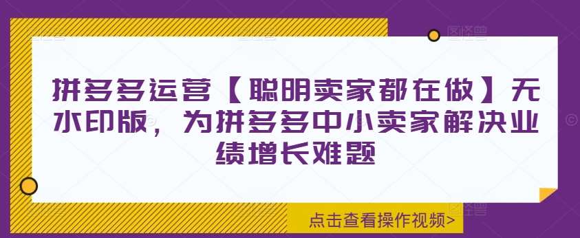 拼多多运营【聪明卖家都在做】无水印版，为拼多多中小卖家解决业绩增长难题-鬼谷创业网