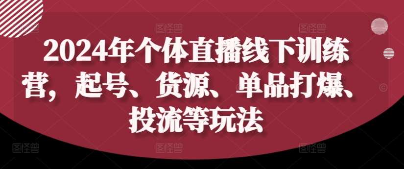 2024年个体直播训练营，起号、货源、单品打爆、投流等玩法-鬼谷创业网