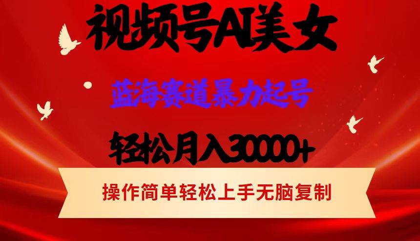 （12178期）视频号AI美女跳舞，轻松月入30000+，蓝海赛道，流量池巨大，起号猛，当…-鬼谷创业网