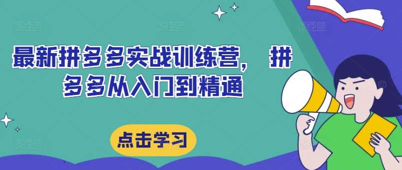 最新拼多多实战训练营， 拼多多从入门到精通-鬼谷创业网