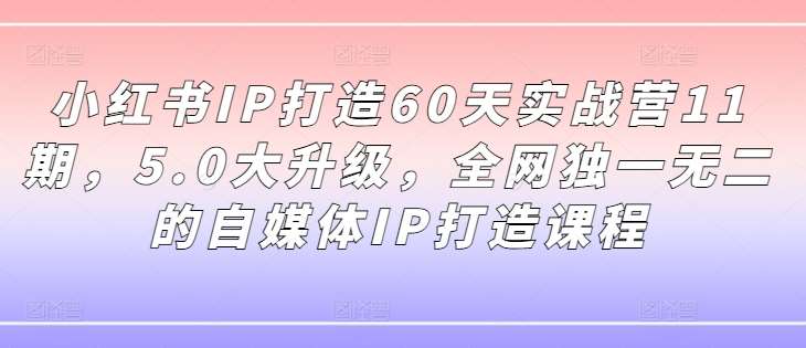 小红书IP打造60天实战营11期，5.0大升级，全网独一无二的自媒体IP打造课程-鬼谷创业网