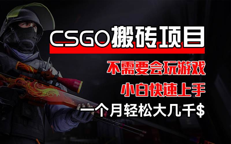 （12332期）CSGO 装备搬砖项目，操作简单，不需要会玩游戏，小白也能快速上手，一…-鬼谷创业网