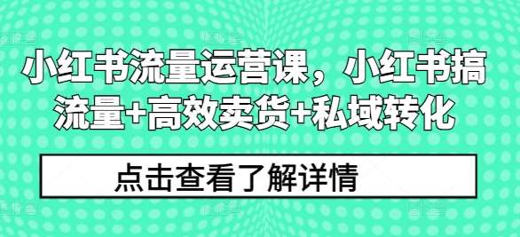 小红书流量运营课，小红书搞流量+高效卖货+私域转化-鬼谷创业网