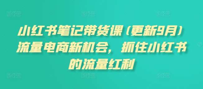 小红书笔记带货课(更新9月)流量电商新机会，抓住小红书的流量红利-鬼谷创业网