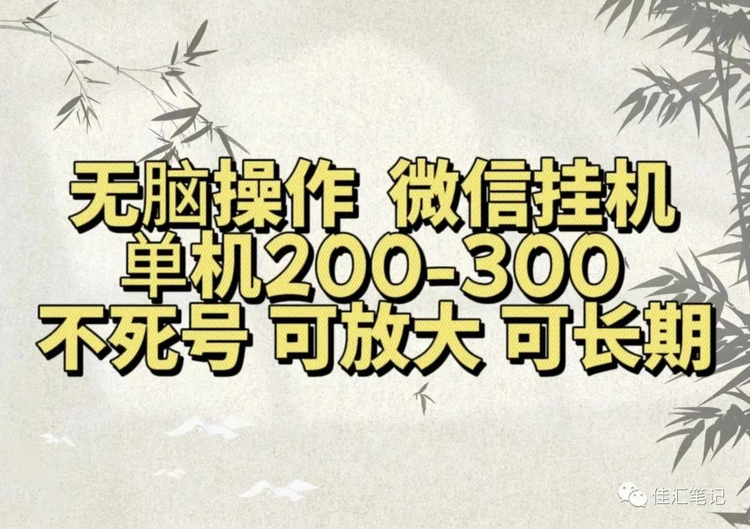 无脑操作微信视频号挂机单机200-300一天，不死号，可放大，工作室实测-鬼谷创业网