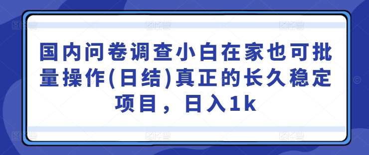 国内问卷调查小白在家也可批量操作(日结)真正的长久稳定项目，日入1k【揭秘】-鬼谷创业网