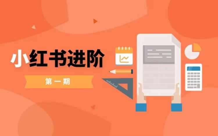 小红书进阶篇，零基础小白实战课，普通人变现的课程-鬼谷创业网