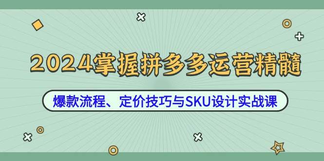 （12703期）2024掌握拼多多运营精髓：爆款流程、定价技巧与SKU设计实战课-鬼谷创业网